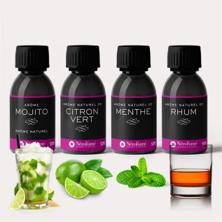 Cocktailbox: Mojito Express oder Virgin Morito (alkoholfrei)